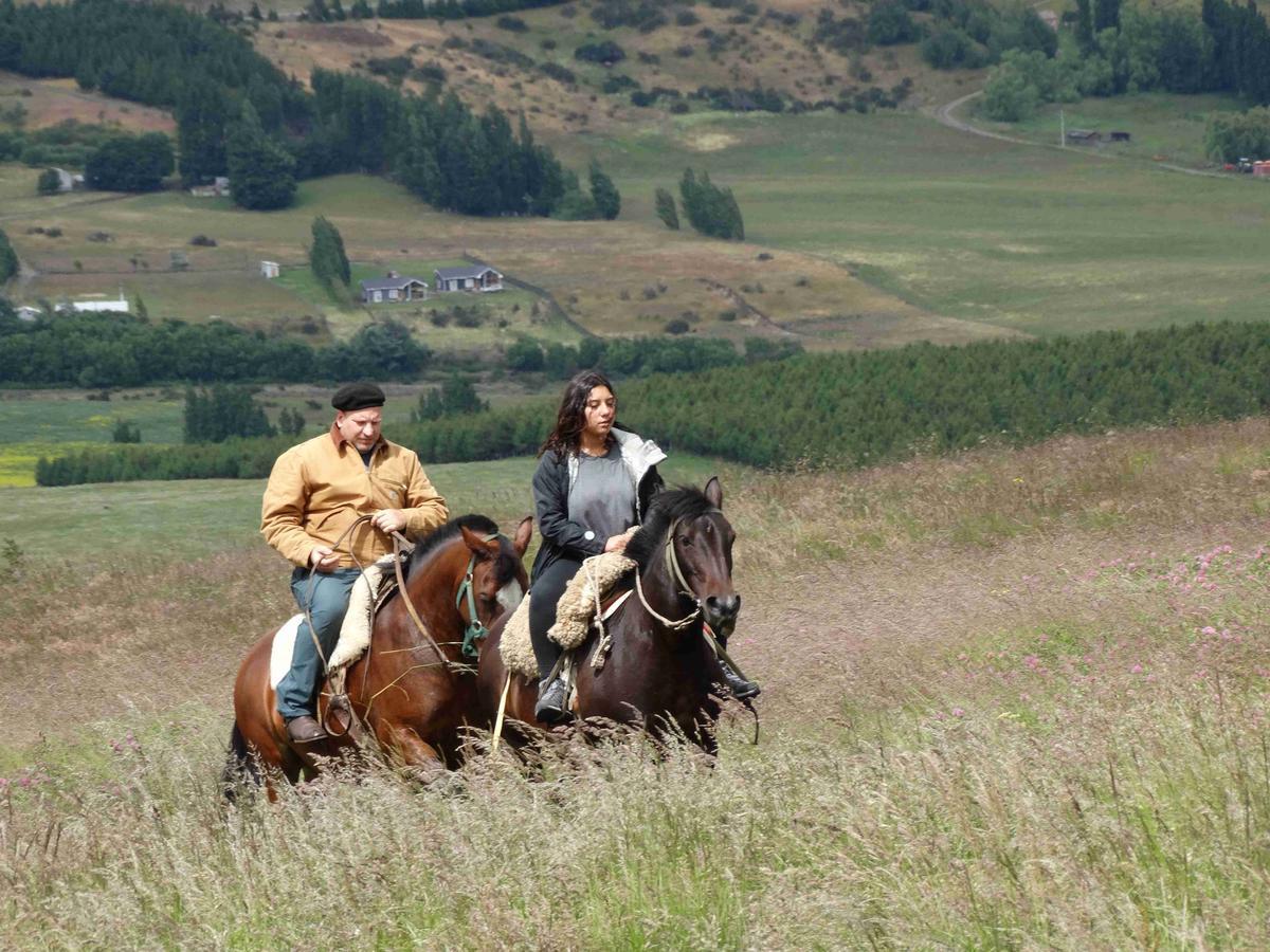 Glamping Patagonia Nativa Rural Hotel Coyhaique Exterior foto