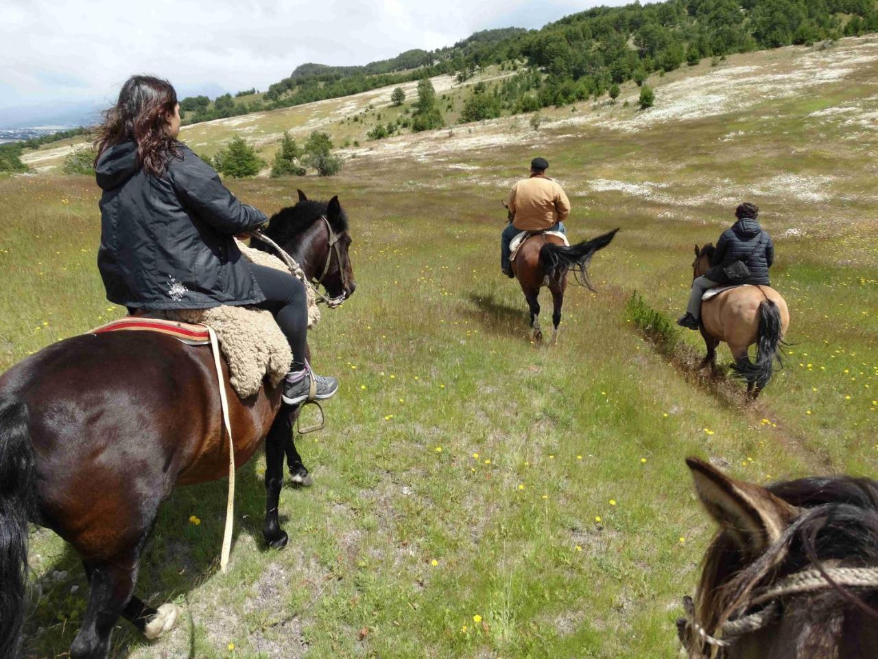 Glamping Patagonia Nativa Rural Hotel Coyhaique Exterior foto
